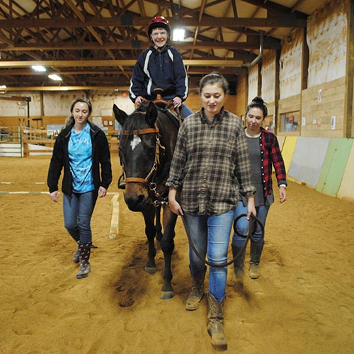 Therapeutic Horsemanship Program