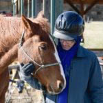 Horses Empower Heroes Veterans Program