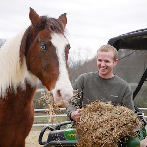 Assistant and horse