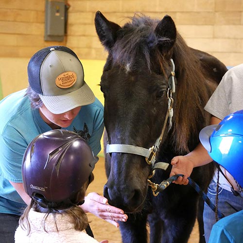 Therapeutic Horsemanship Program