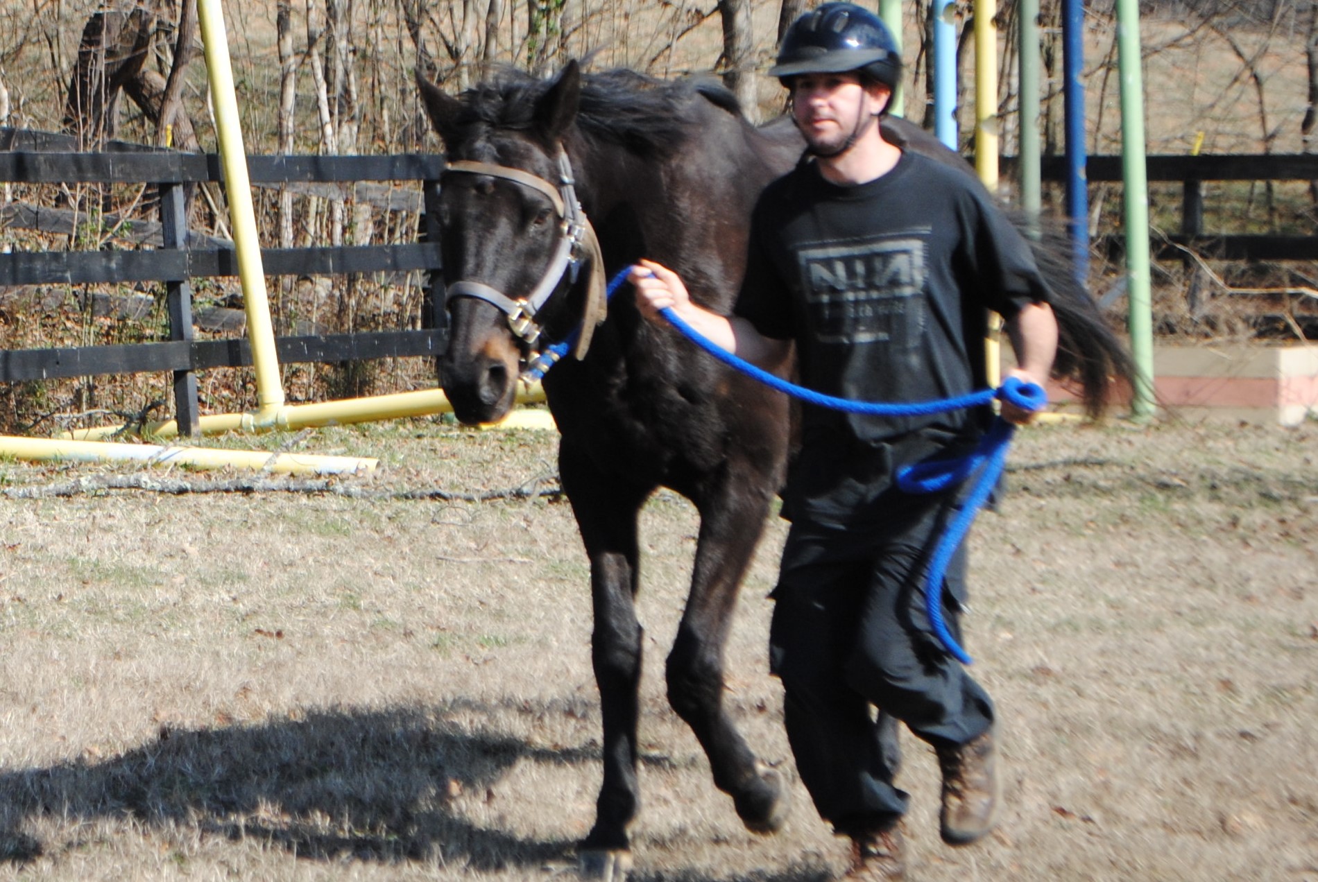 Horses Empower Heroes